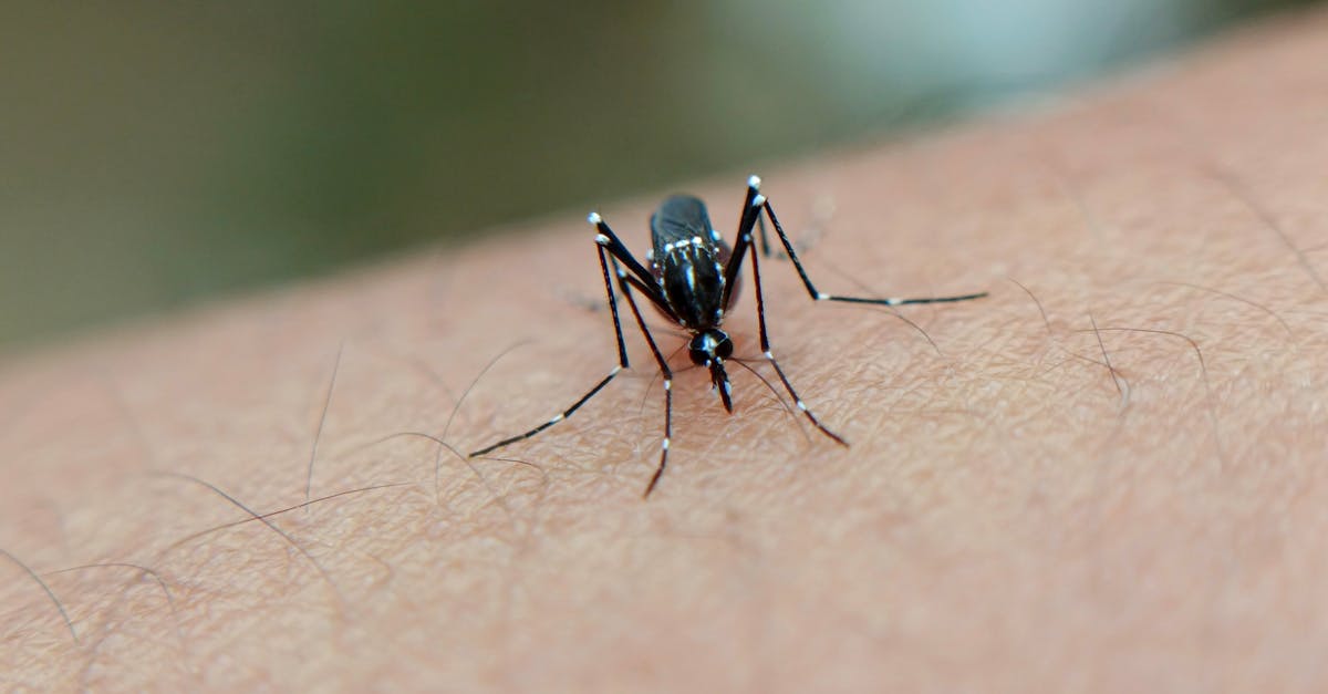 découvrez tout sur les maladies reconnues, leurs symptômes, diagnostics et traitements pour mieux comprendre et gérer votre santé.